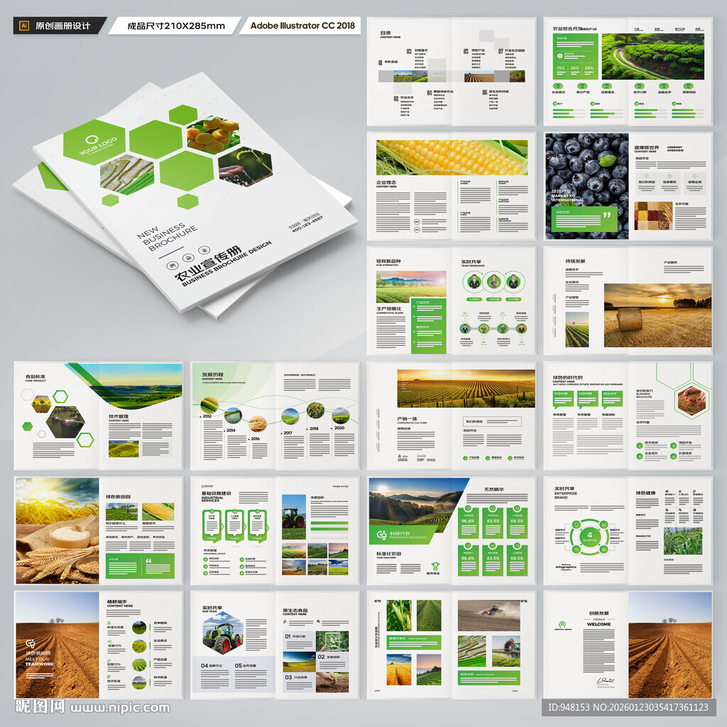 农产品画册