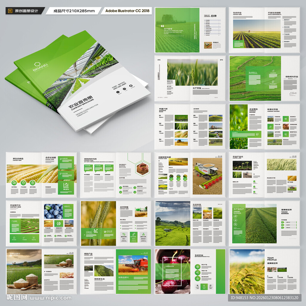 农产品宣传册