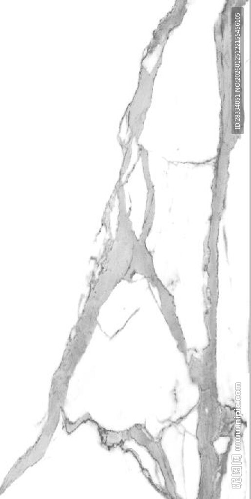 抽象灰白树枝纹理图案