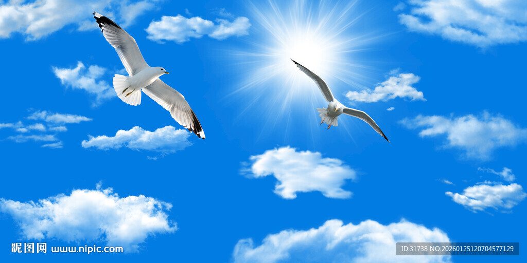 蓝天白云天花软膜背景