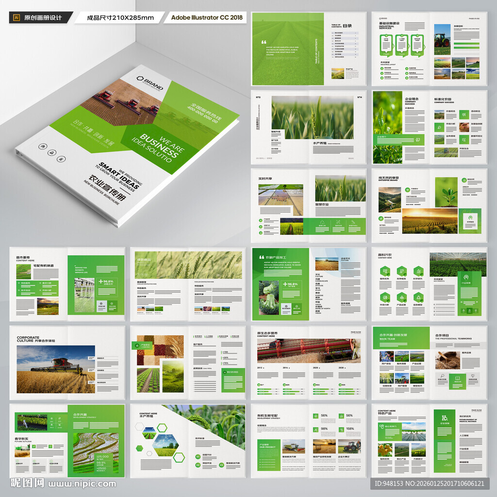 农产品宣传册