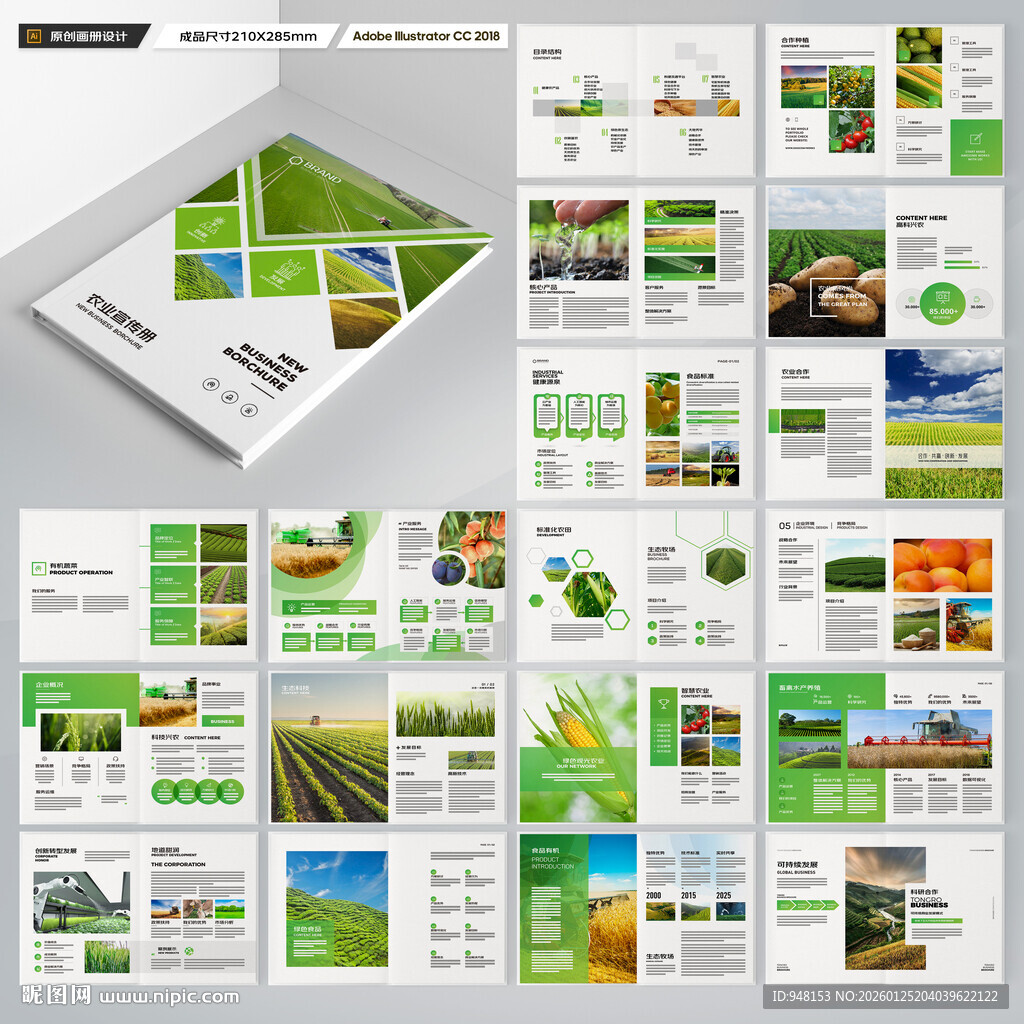 农产品宣传册