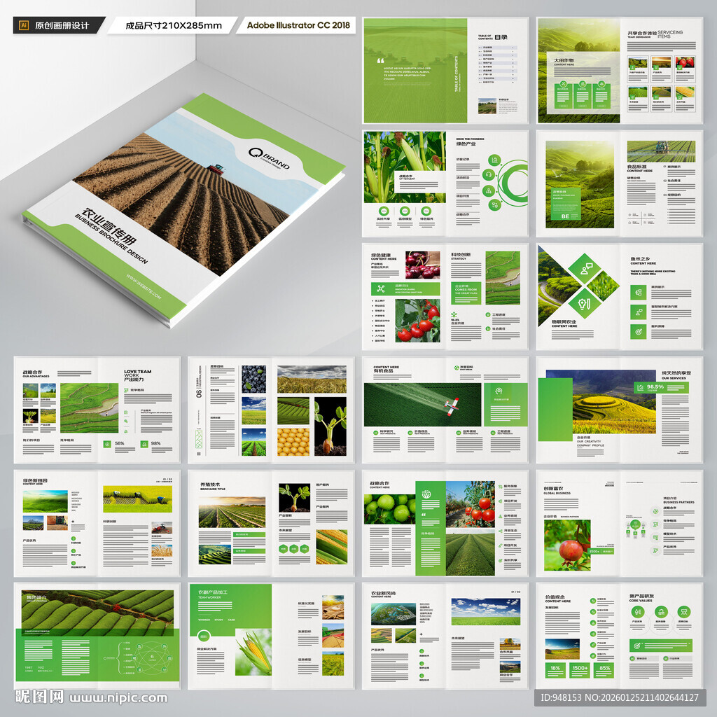 农产品宣传册