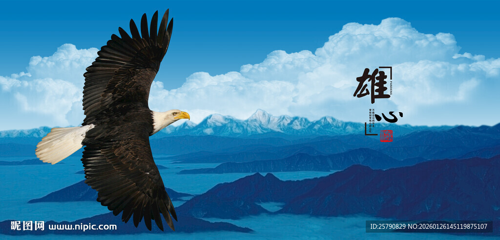 雄鹰翱翔于山水蓝天间