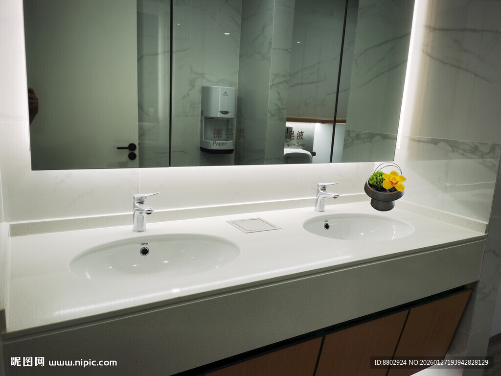 室内植物租摆效果图