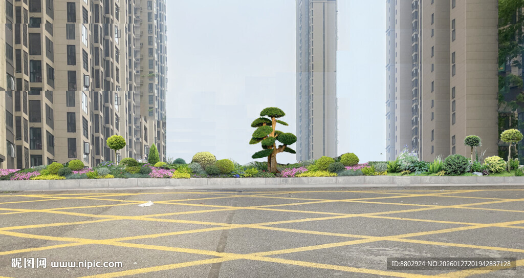 花池花境设计效果图