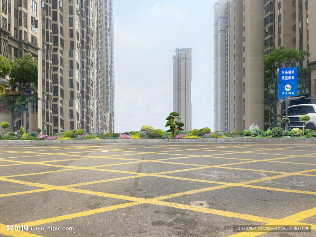 花池花境设计效果图