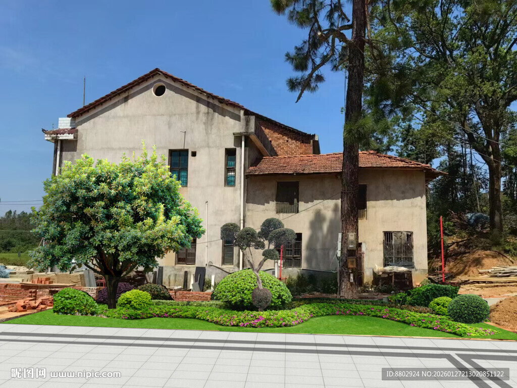 庭院绿化改造效果图