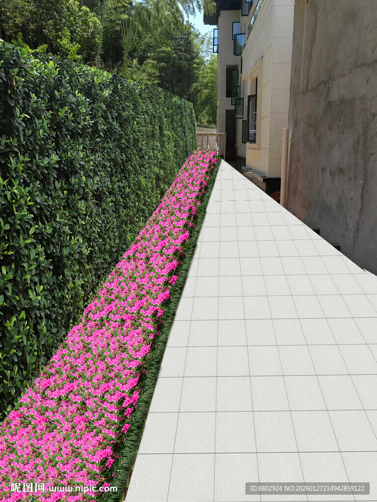 绿篱设计效果图