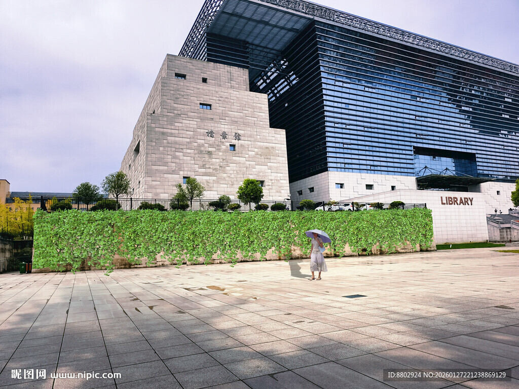 植物绿篱景观设计效果图