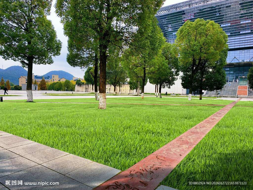 校园绿意盎然的休闲小径