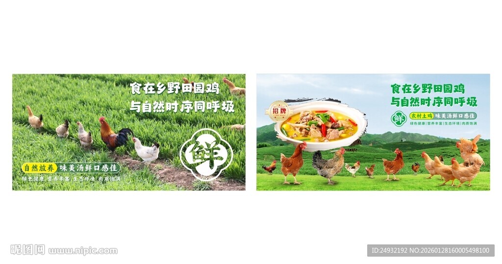 田园走地土鸡海报