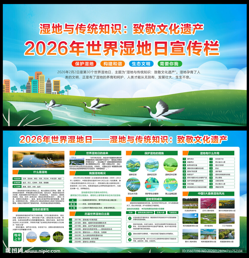 世界湿地日宣传栏