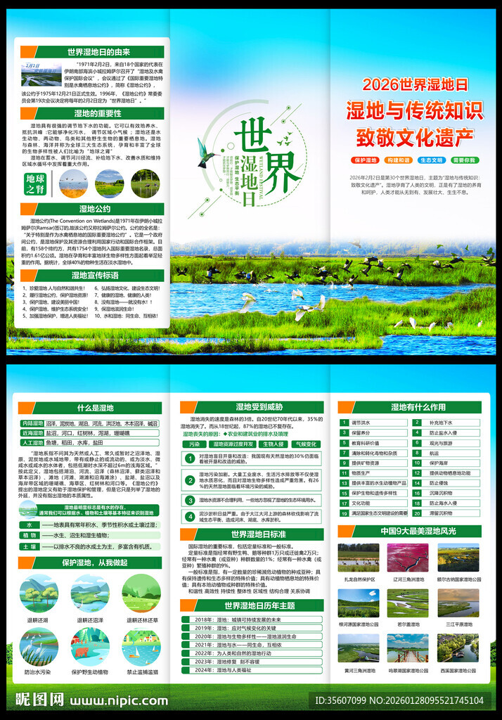 湿地日三折页