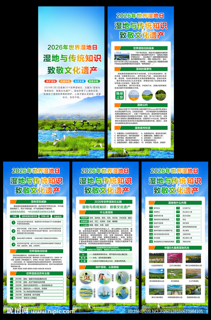 世界湿地日x展架