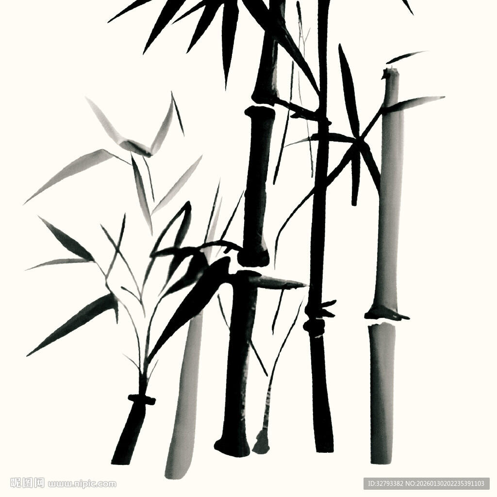 水墨风竹子插画