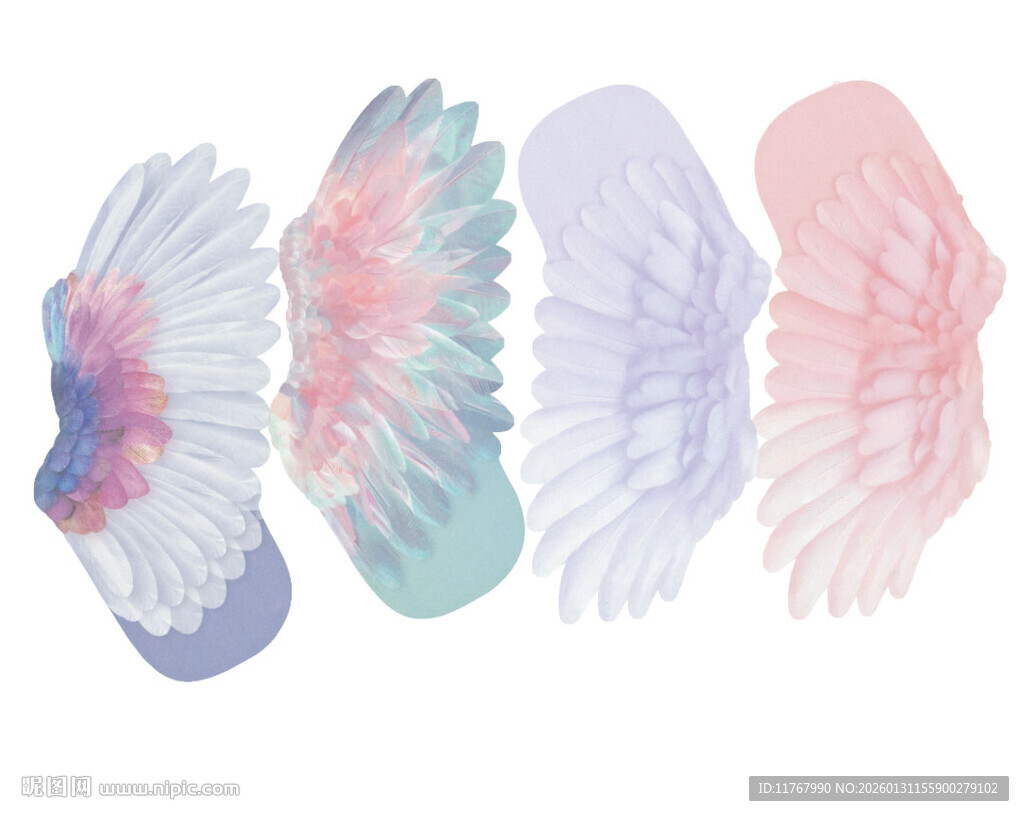 爱心翅膀彩图4个