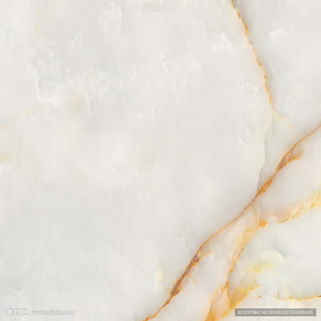 地板 高档上传石纹 简奢大图 