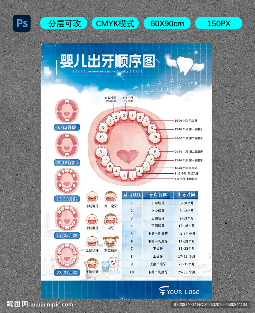 婴儿出牙顺序图表