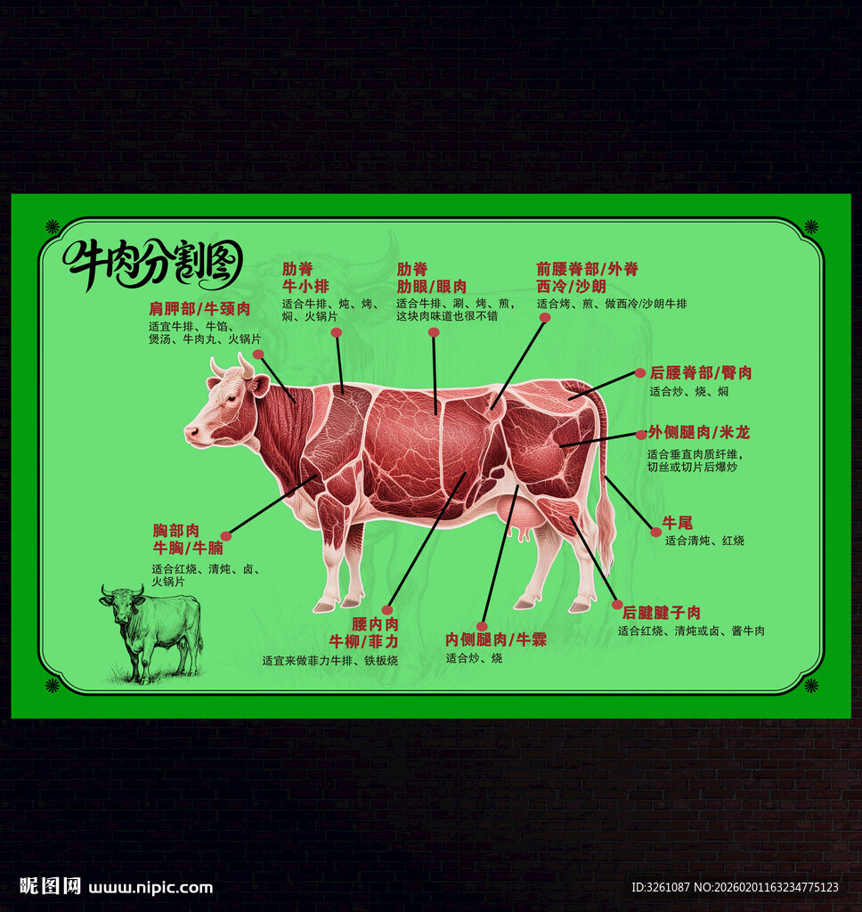 牛肉分割图