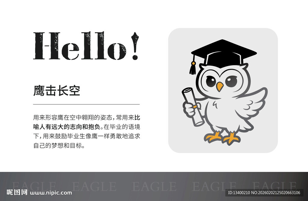 卡通猫头鹰毕业形象设计