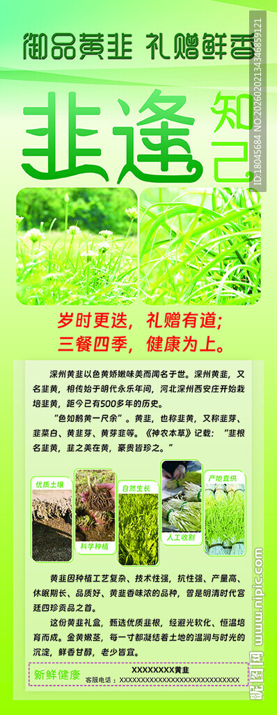 黄韭宣传页
