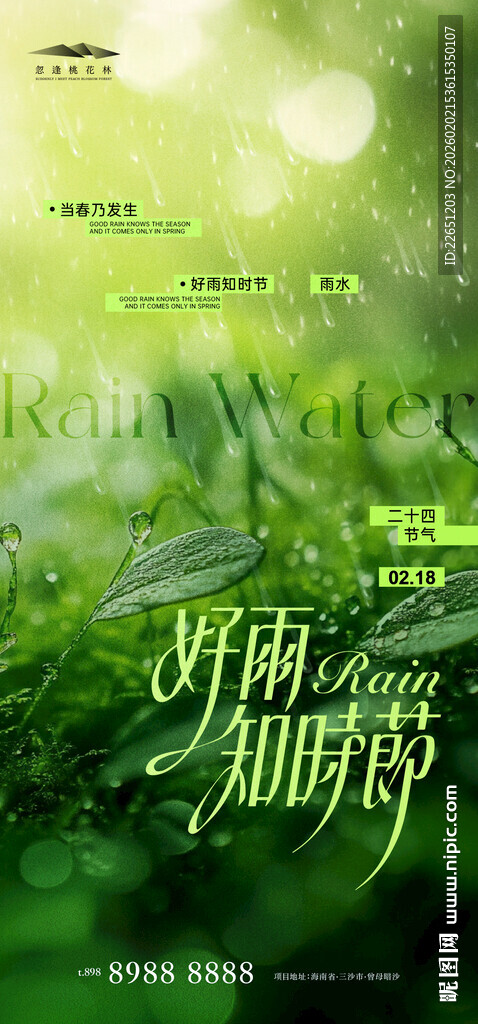雨水