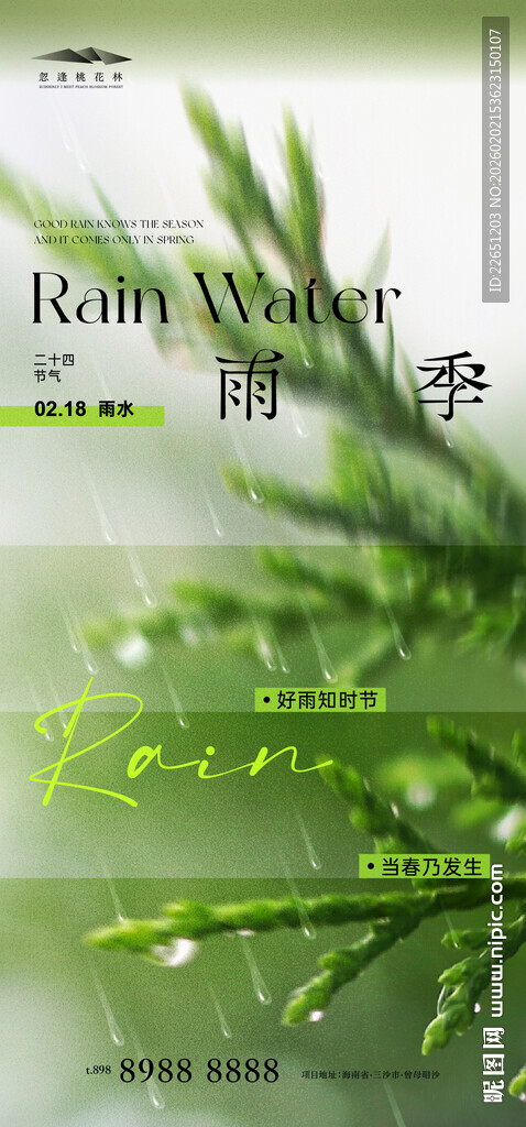 雨水