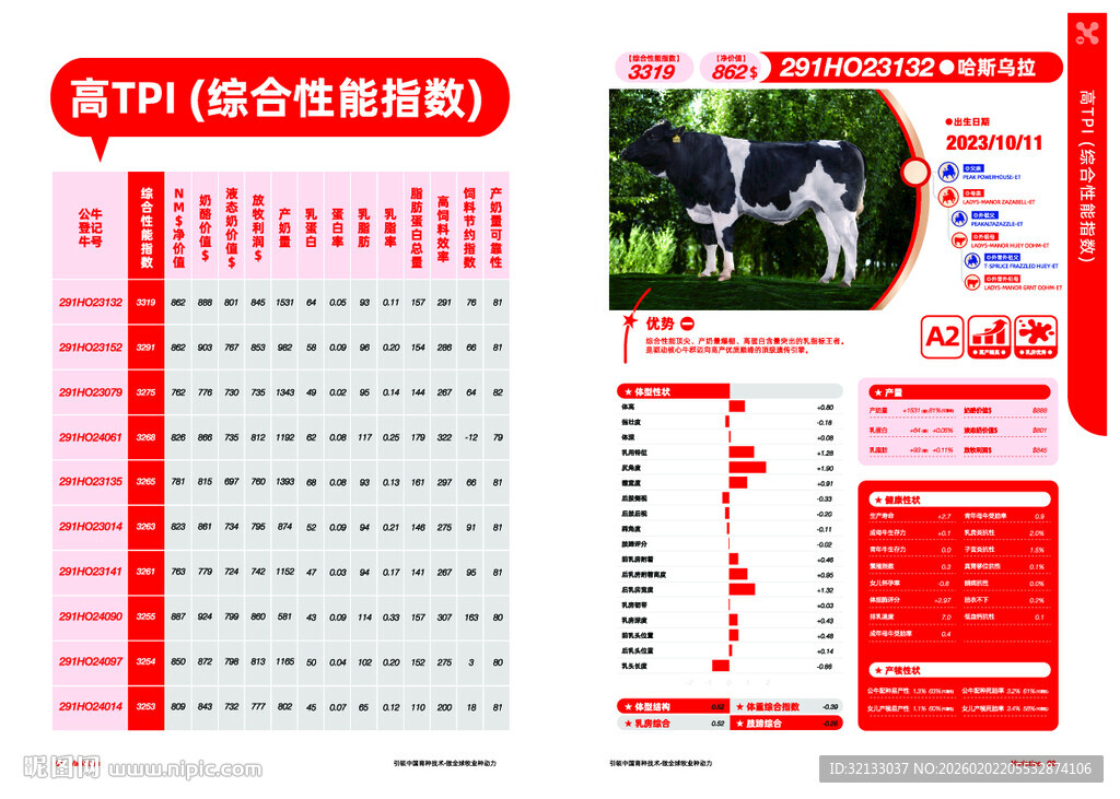 动物数据表模板