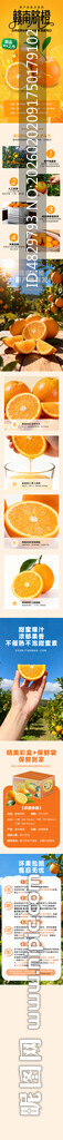 赣南脐橙 济南脐橙 橙子详情页
