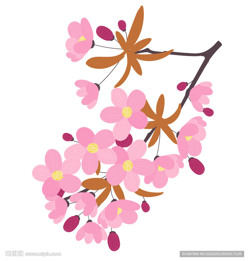 粉色樱花枝插画 矢量图