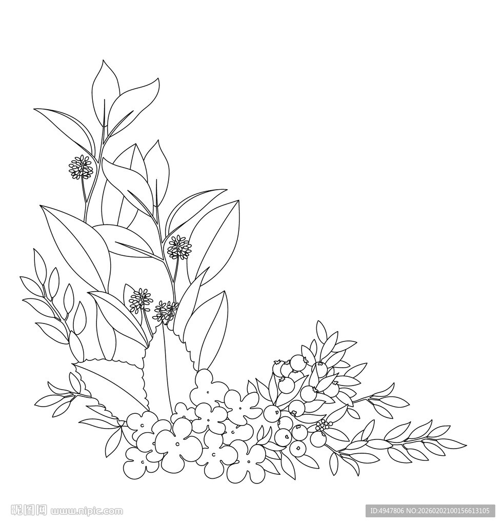 手绘植物花卉角落图案 矢量图