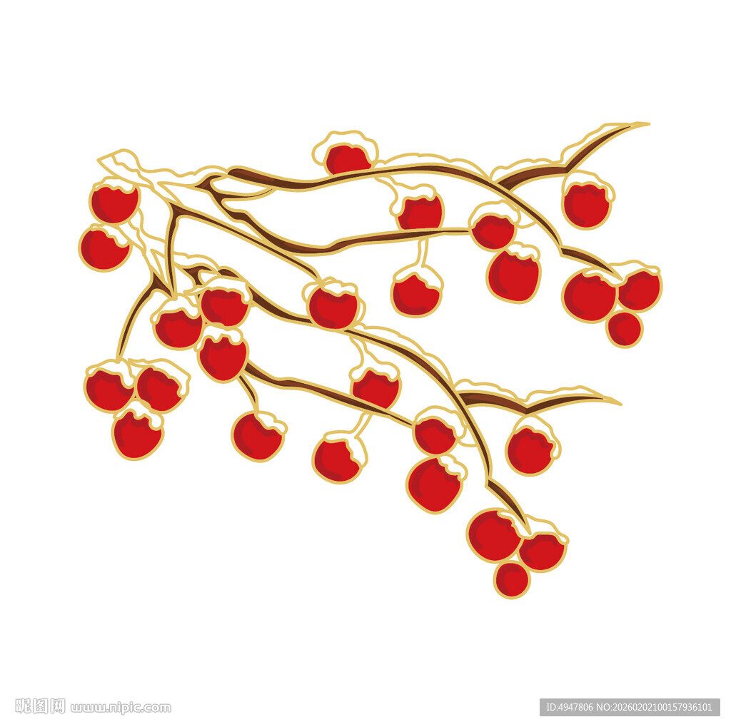 红色浆果树枝插画 矢量图