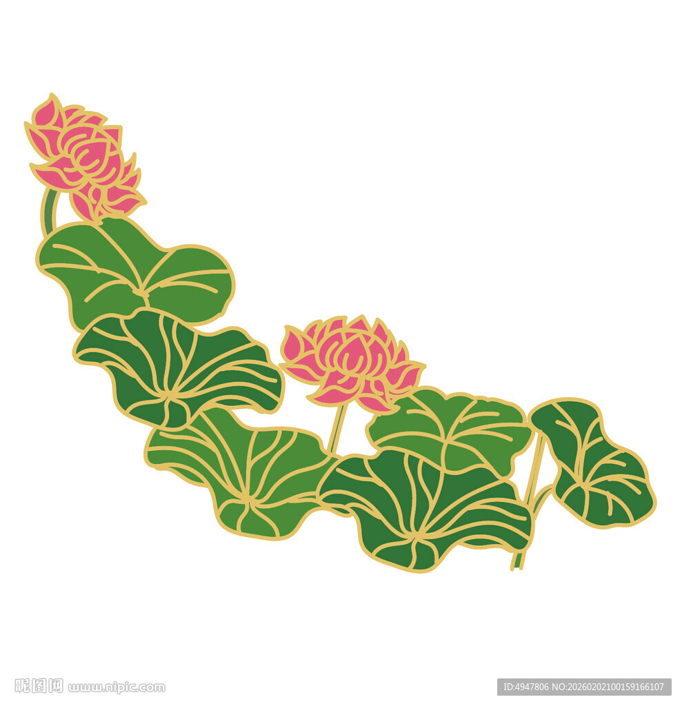 中式荷花荷叶装饰图案 矢量图