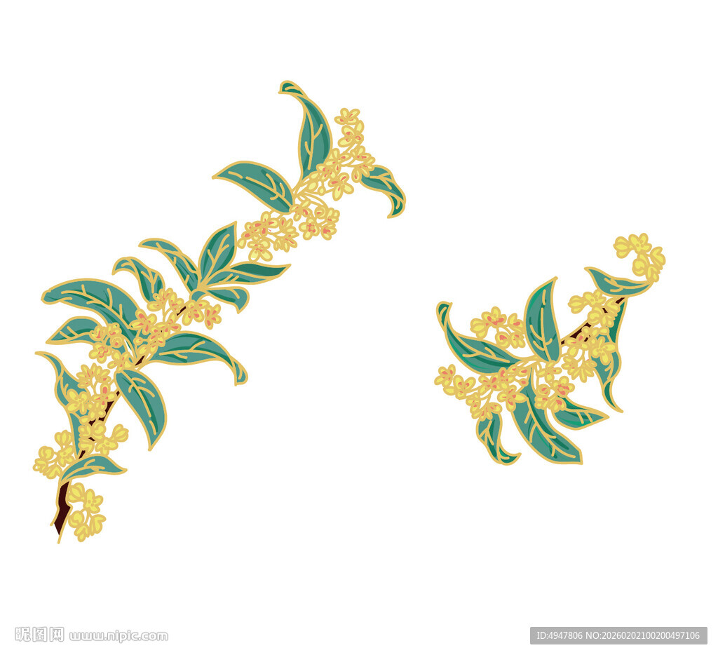 手绘桂花枝图案 矢量图