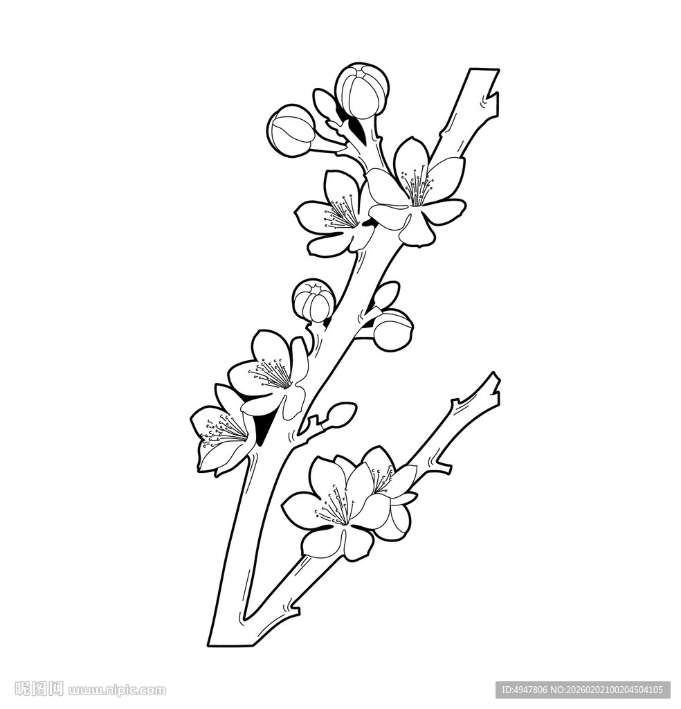 手绘梅花枝线条图 矢量图