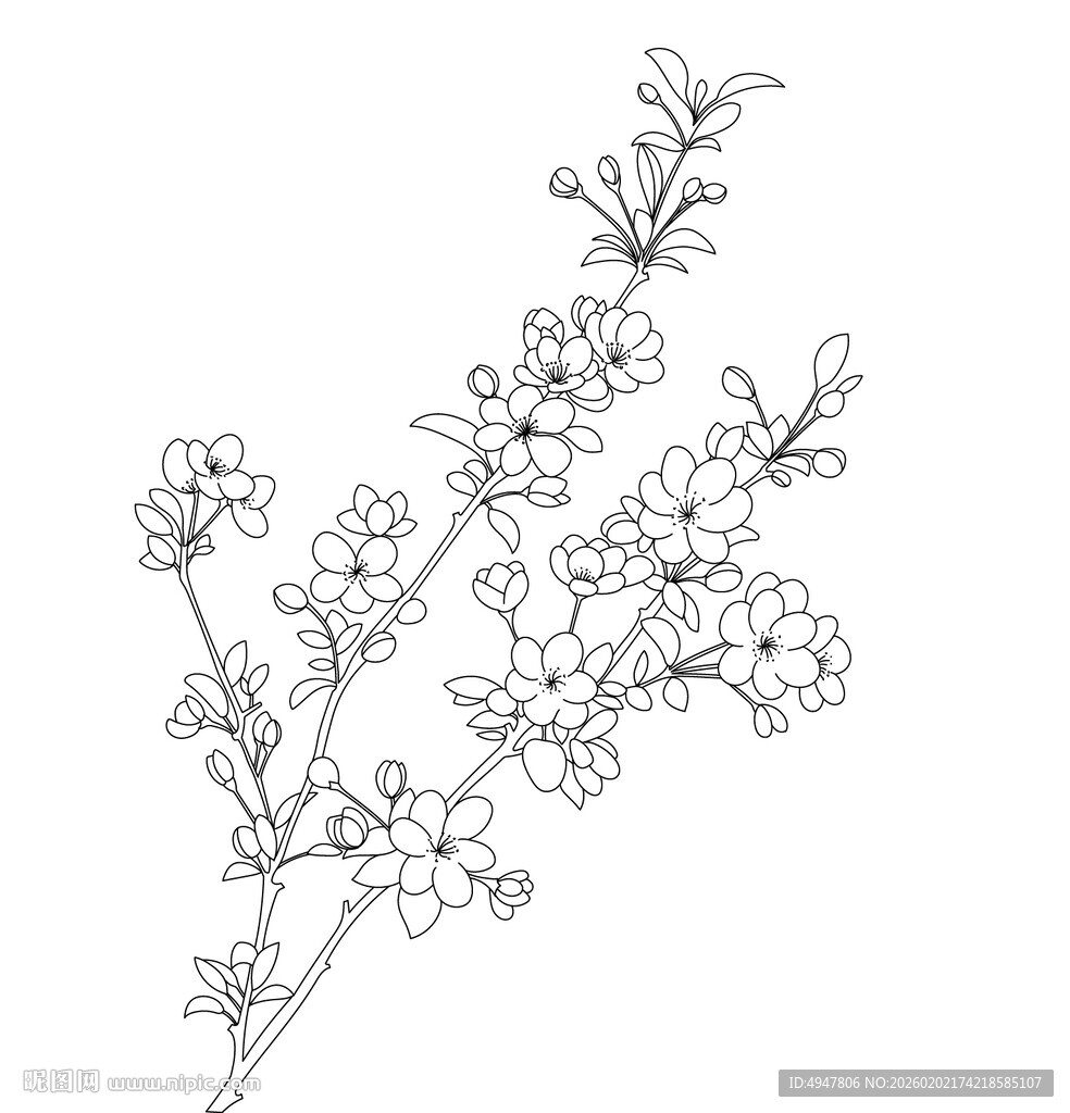 手绘花卉 海棠花 矢量图