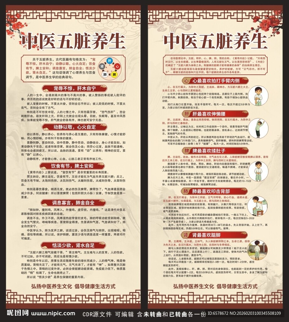 中医五脏养生展架