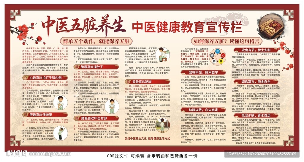 中医五脏养生宣传栏