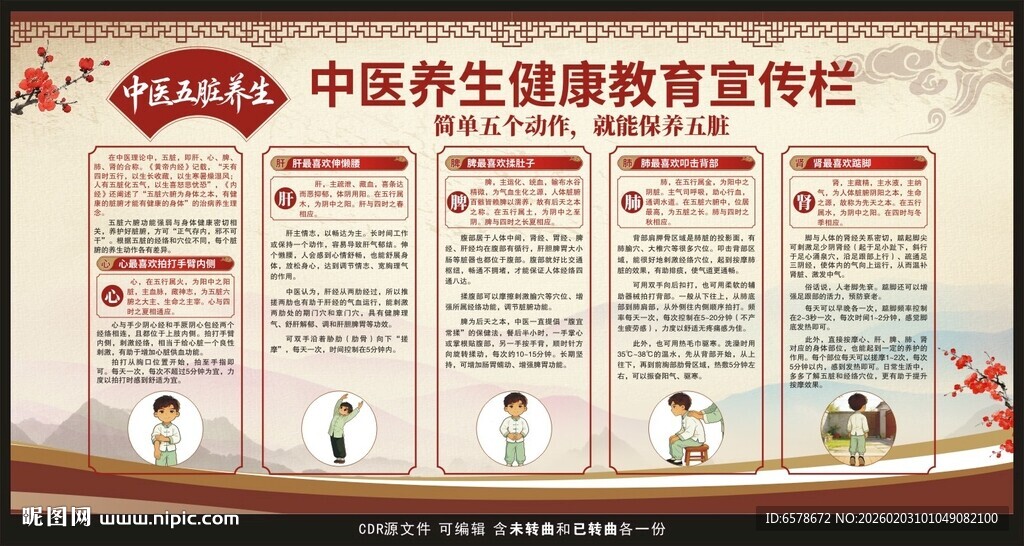 中医五脏养生宣传栏