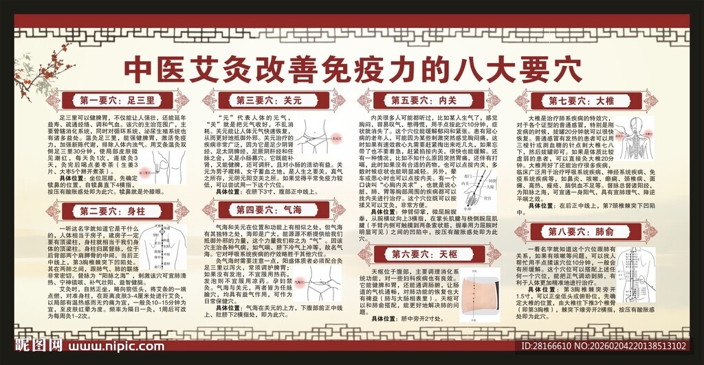 中医健康教育知识宣传栏