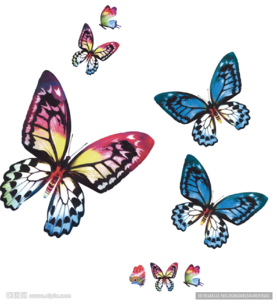 多彩蝴蝶图案设计素材