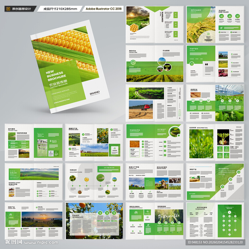 农产品宣传册