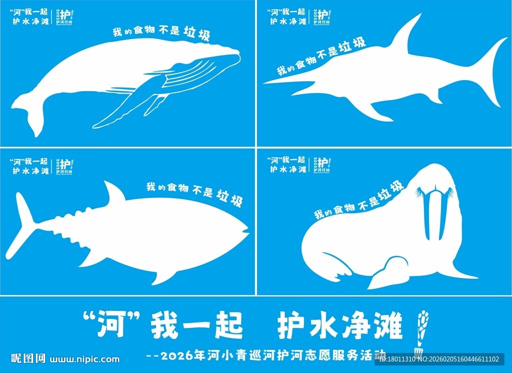 海洋生物插画海报展示