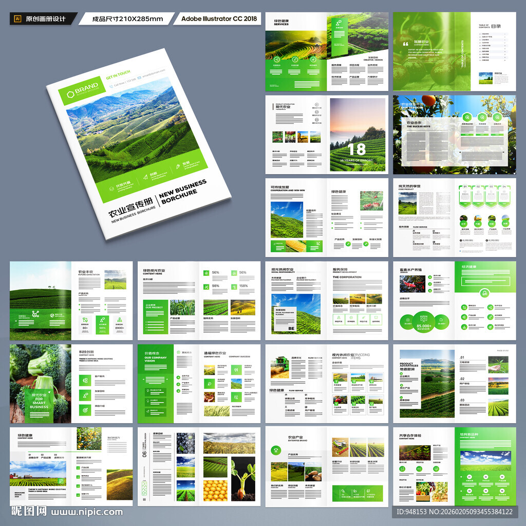 农产品宣传册