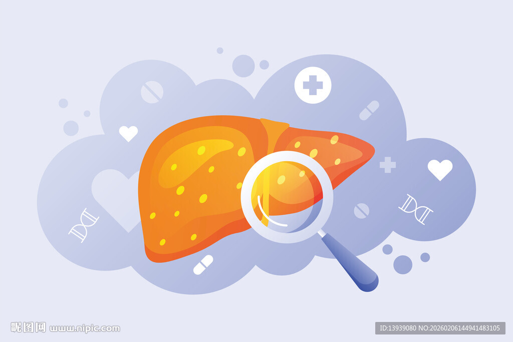 放大镜下的肝脏健康观察