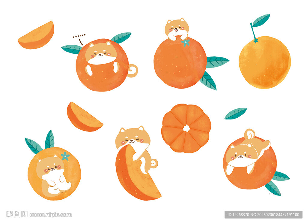 可爱橙子插画