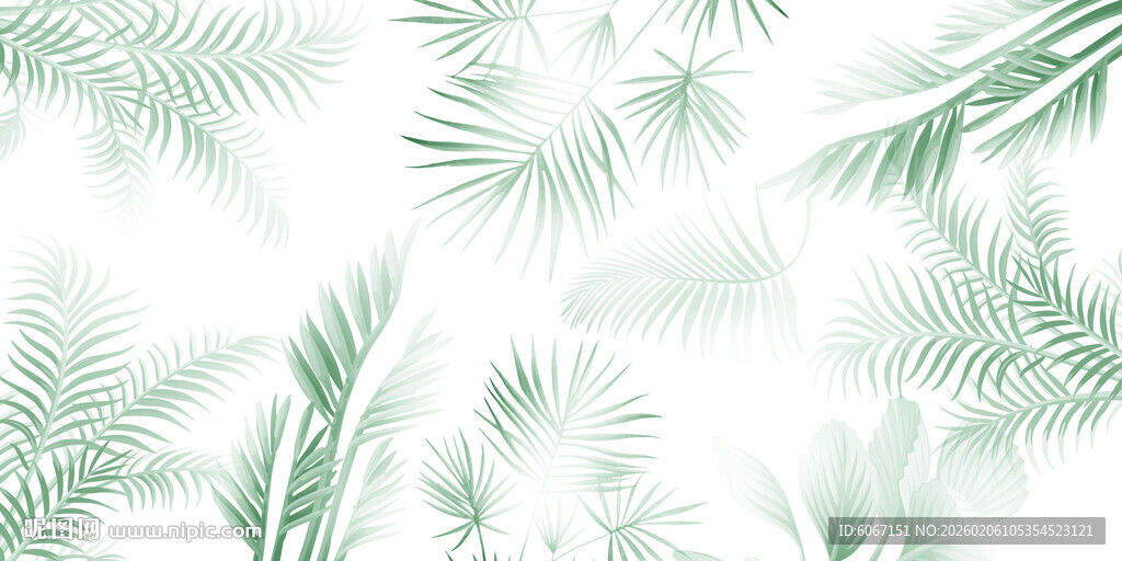 热带雨林绿植雾气模糊背景