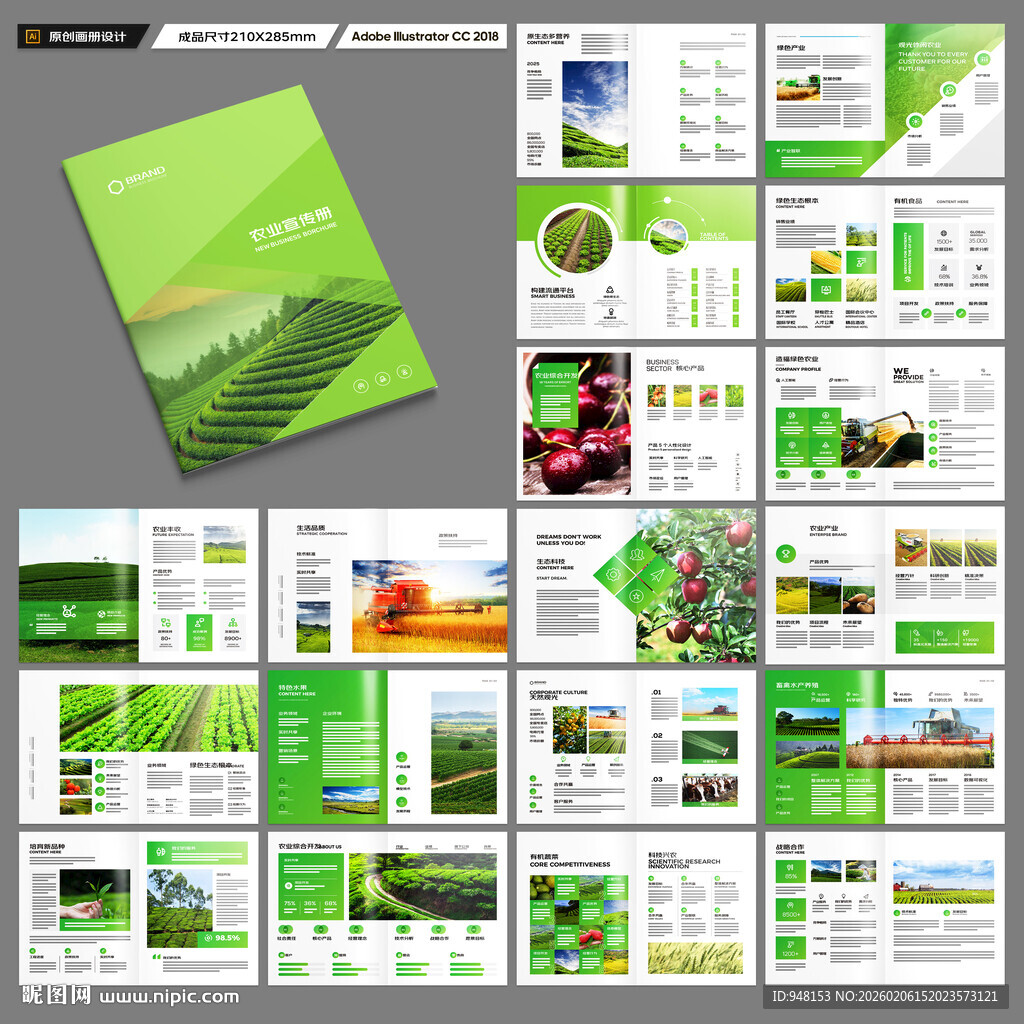 农产品宣传册