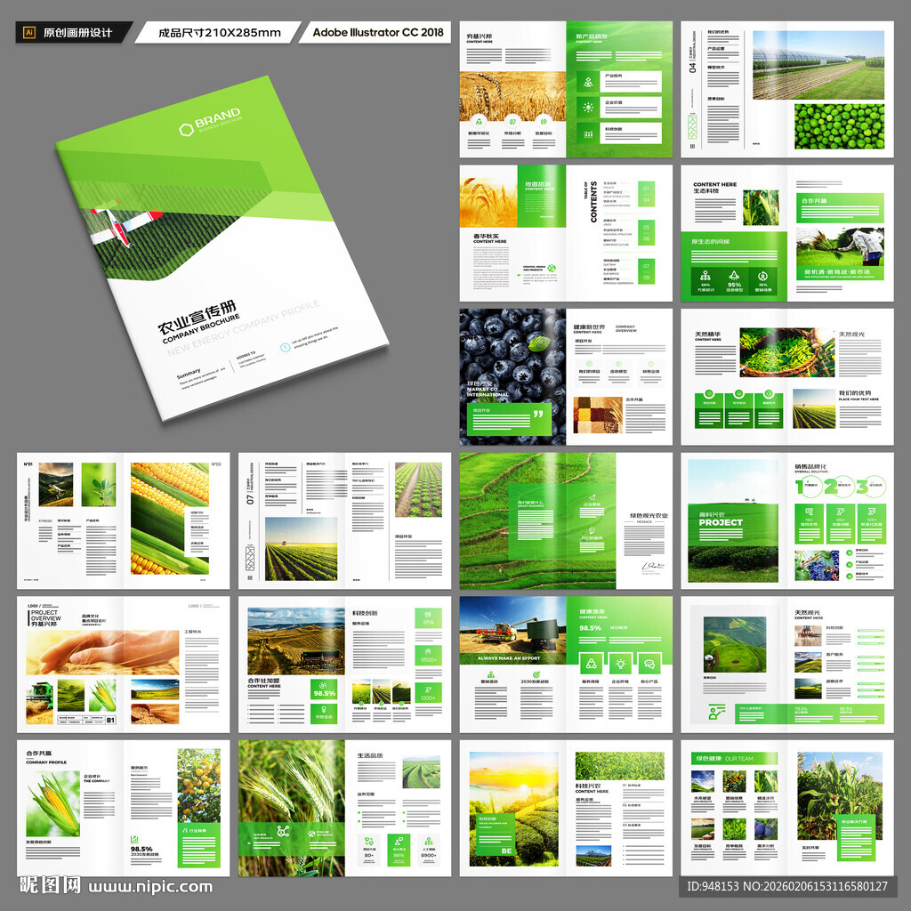 农产品画册